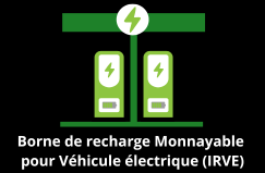 Borne de recharge monnayable